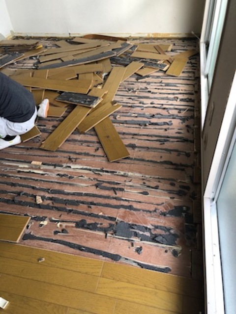 今日から着工です。